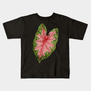 Caladium hybrid - botanical illustration Kids T-Shirt